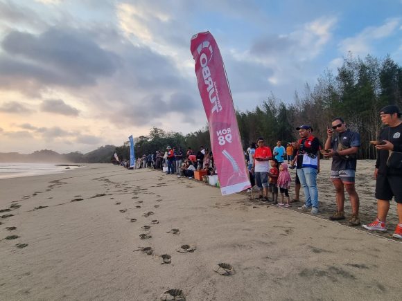 Pertamina dan BSTC Gelar Gebyar Konservasi, Lepasliarkan 2000 Tukik untuk Masa Depan Lebih Baik